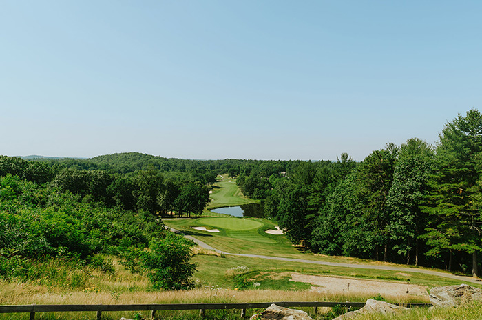 golf course with lots of greenery including trees